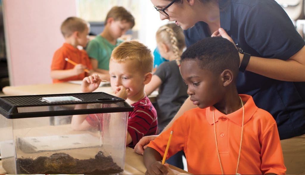 kids learning in a Brevard Zoo classroom