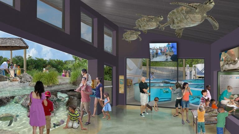 sea turtle care complex rendering