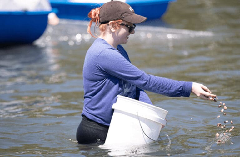 restore our shores volunteer helping replenish the lagoon